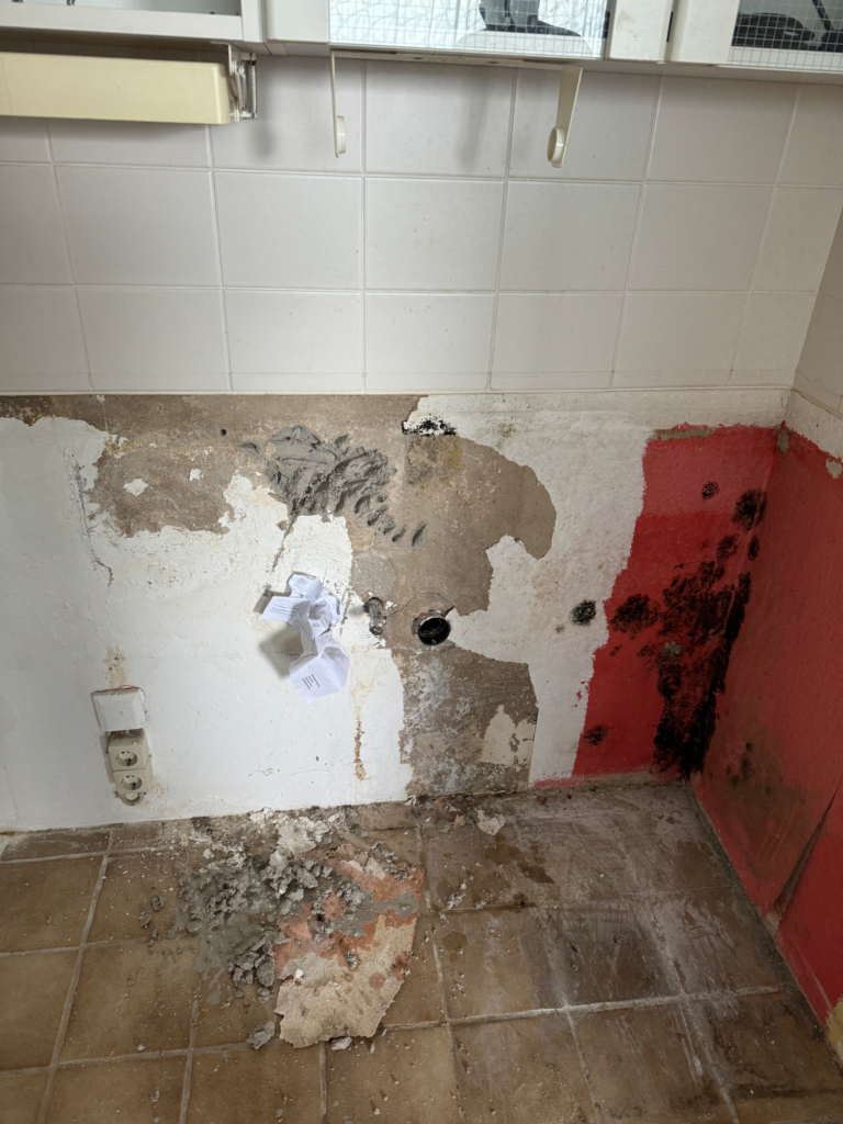 Schimmel an der Wand